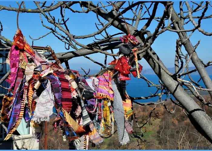 Il Caminetto 酒店 蒙蒂菲阿斯科尼